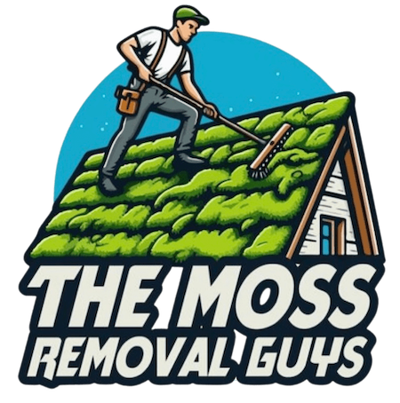 Moss Removal Henley on Thames
